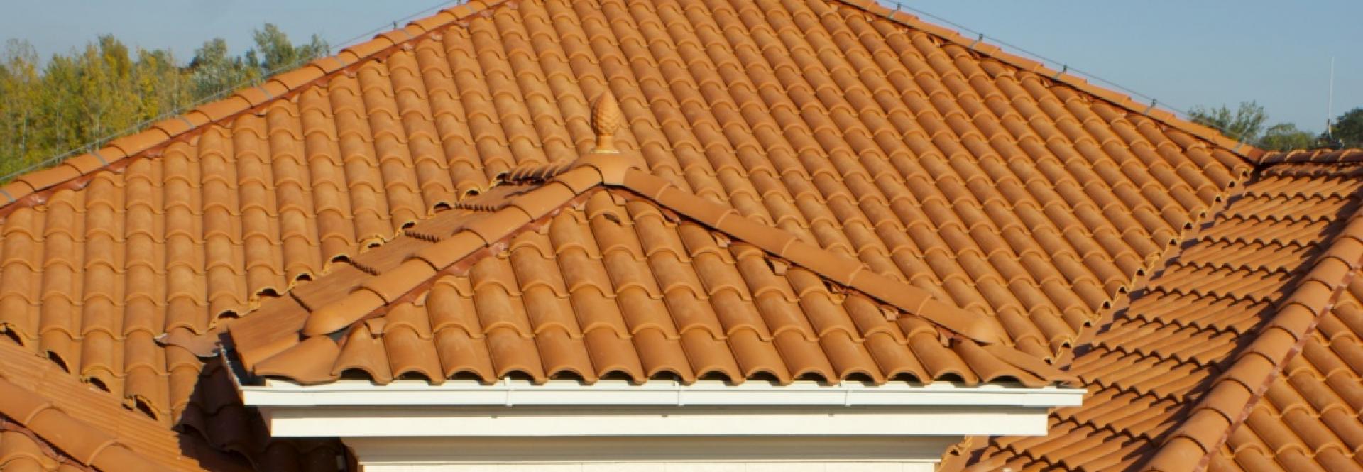 ROJA - Rustica - Rusovce